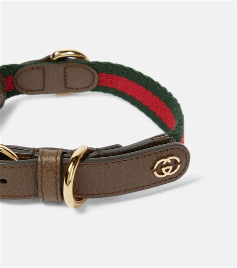 collier gucci chat|Gucci pet collars.